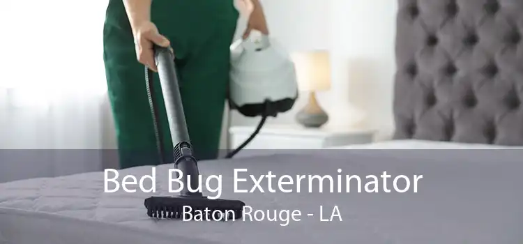 Bed Bug Exterminator Baton Rouge - LA