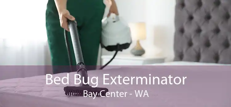 Bed Bug Exterminator Bay Center - WA