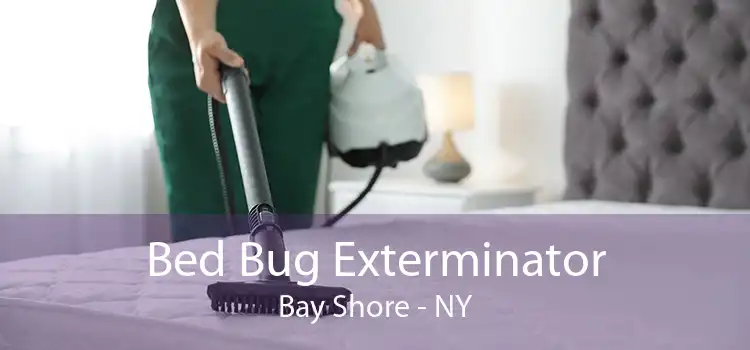 Bed Bug Exterminator Bay Shore - NY