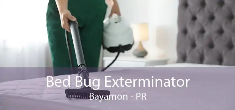 Bed Bug Exterminator Bayamon - PR