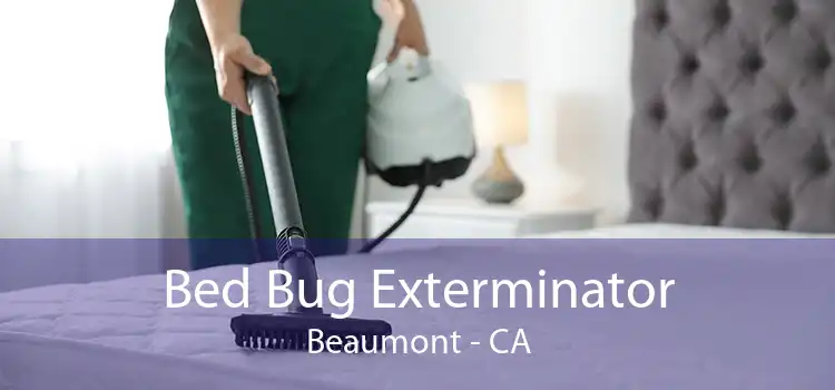 Bed Bug Exterminator Beaumont - CA