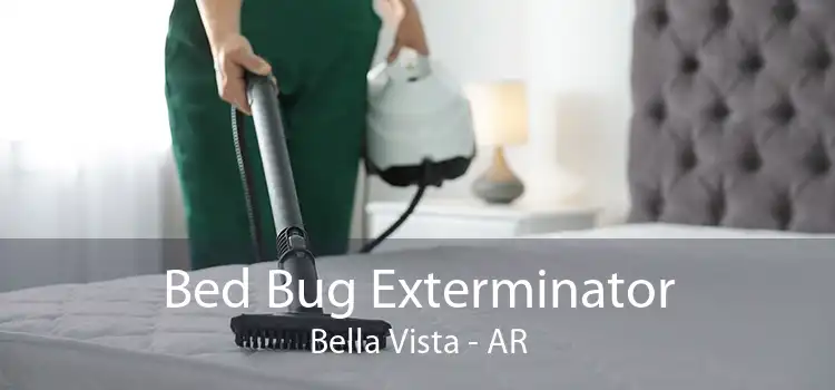 Bed Bug Exterminator Bella Vista - AR