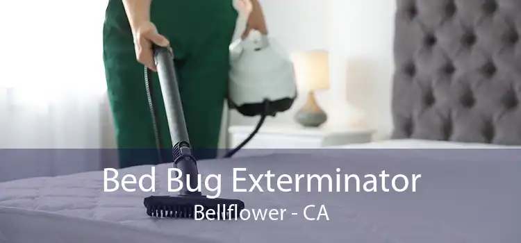 Bed Bug Exterminator Bellflower - CA