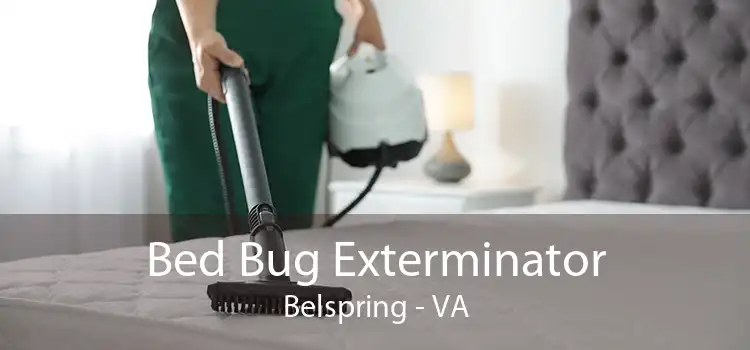 Bed Bug Exterminator Belspring - VA