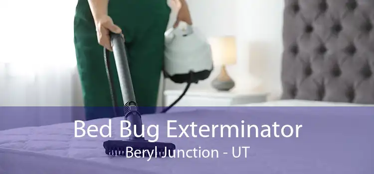 Bed Bug Exterminator Beryl Junction - UT