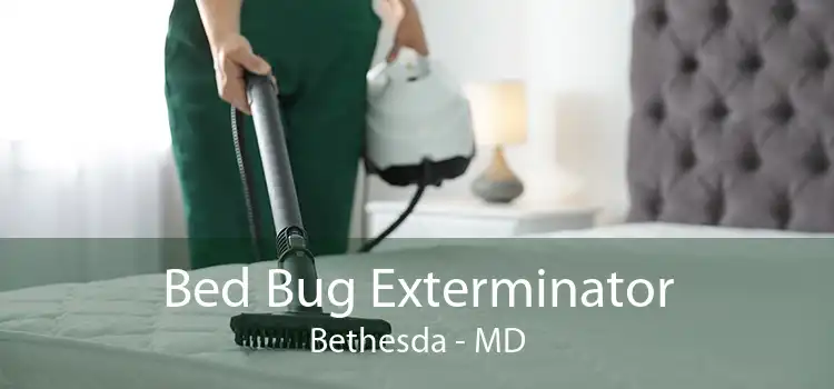 Bed Bug Exterminator Bethesda - MD