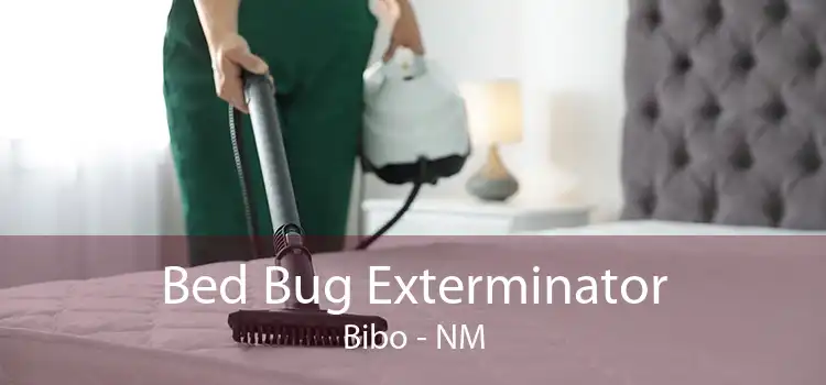 Bed Bug Exterminator Bibo - NM