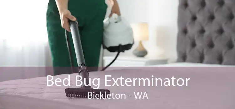 Bed Bug Exterminator Bickleton - WA