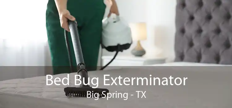 Bed Bug Exterminator Big Spring - TX