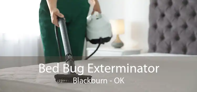 Bed Bug Exterminator Blackburn - OK