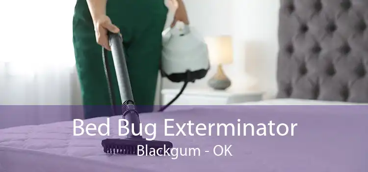 Bed Bug Exterminator Blackgum - OK