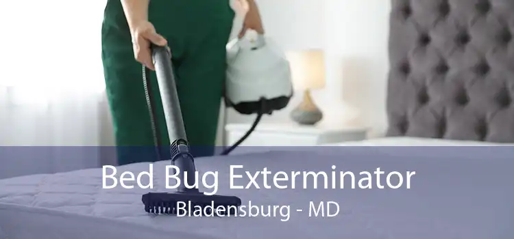 Bed Bug Exterminator Bladensburg - MD