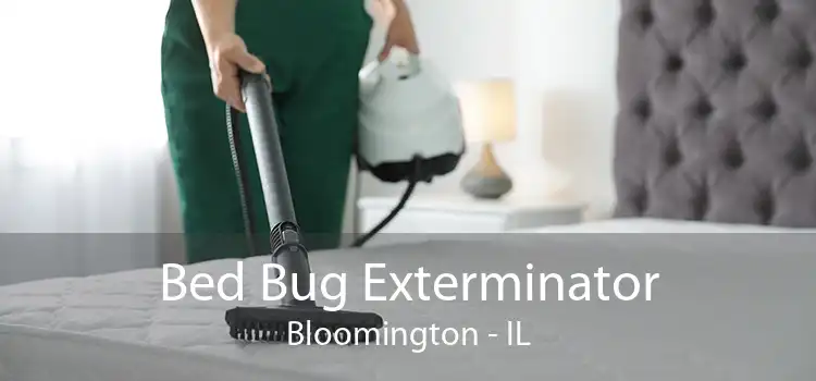 Bed Bug Exterminator Bloomington - IL