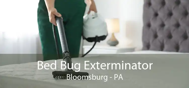 Bed Bug Exterminator Bloomsburg - PA