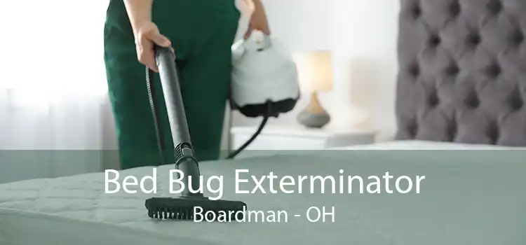 Bed Bug Exterminator Boardman - OH