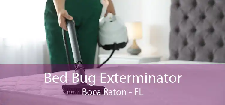 Bed Bug Exterminator Boca Raton - FL