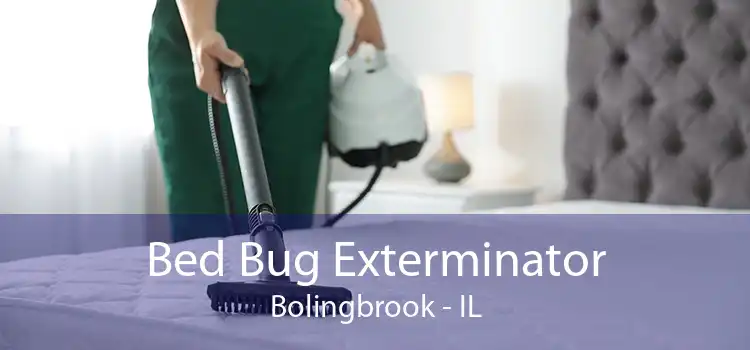 Bed Bug Exterminator Bolingbrook - IL