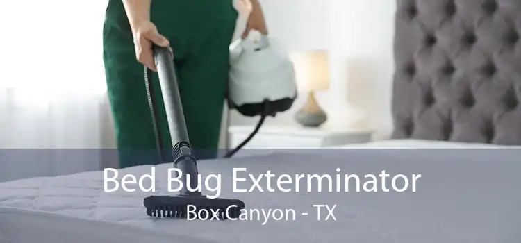 Bed Bug Exterminator Box Canyon - TX