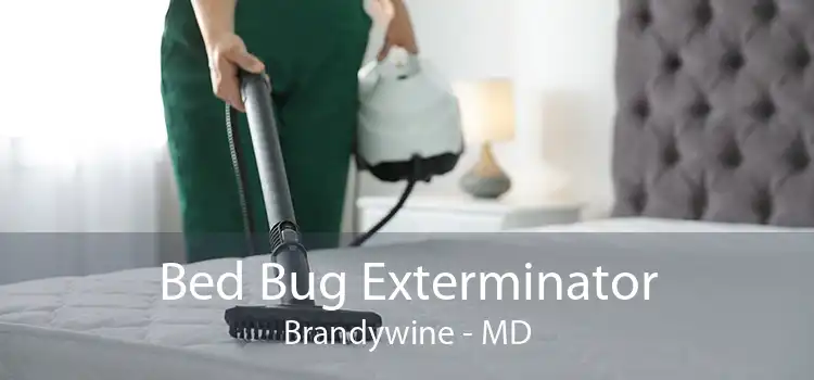 Bed Bug Exterminator Brandywine - MD