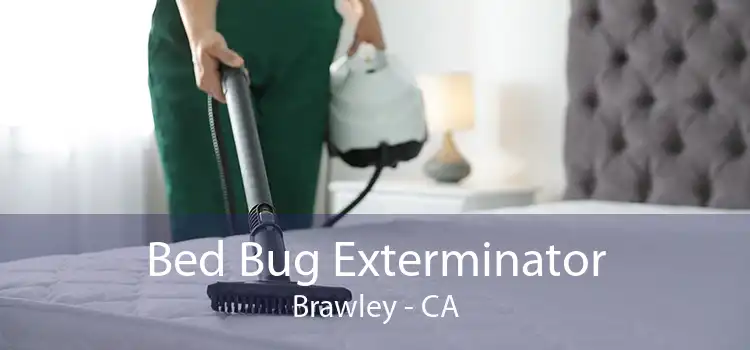 Bed Bug Exterminator Brawley - CA