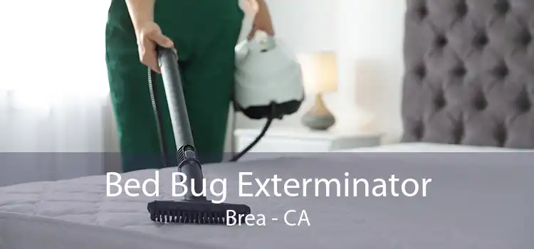 Bed Bug Exterminator Brea - CA