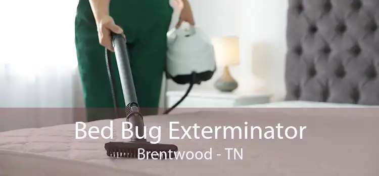 Bed Bug Exterminator Brentwood - TN