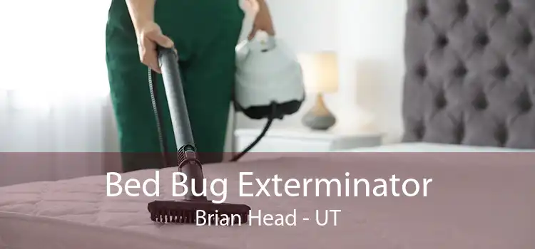 Bed Bug Exterminator Brian Head - UT