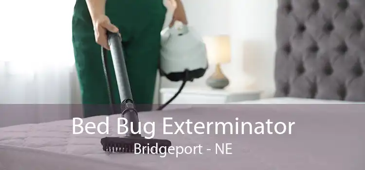 Bed Bug Exterminator Bridgeport - NE