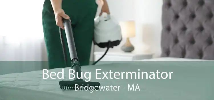 Bed Bug Exterminator Bridgewater - MA