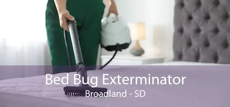 Bed Bug Exterminator Broadland - SD