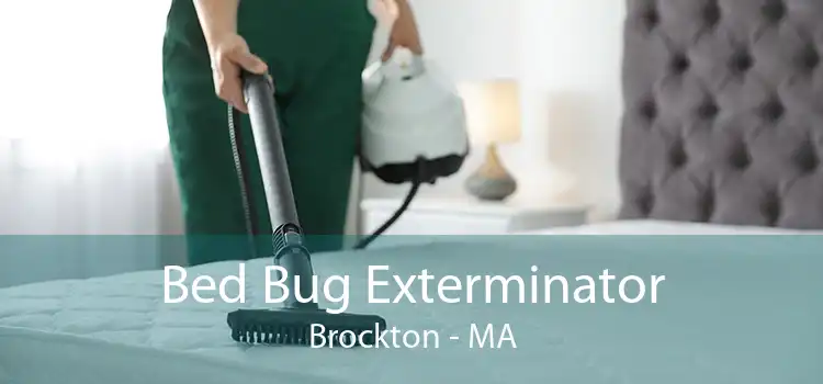 Bed Bug Exterminator Brockton - MA