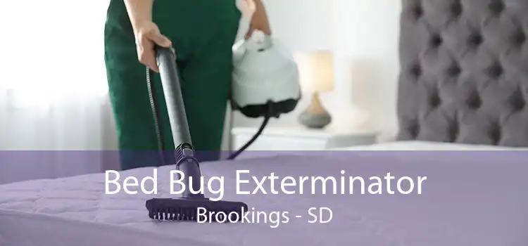 Bed Bug Exterminator Brookings - SD