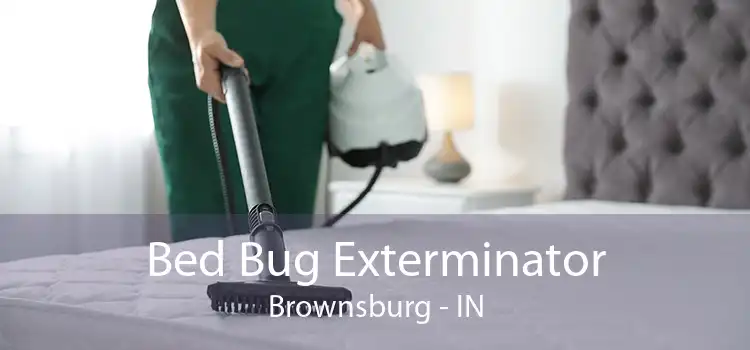 Bed Bug Exterminator Brownsburg - IN