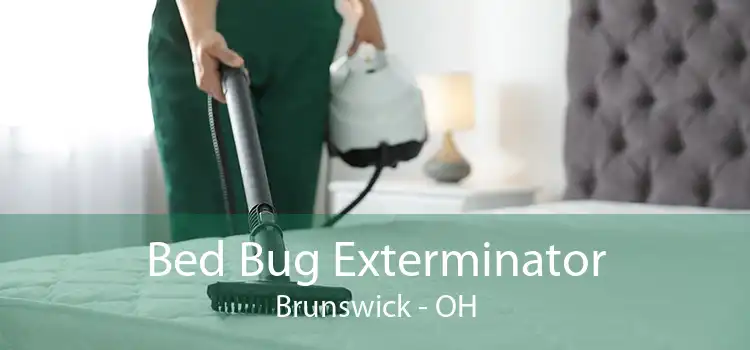 Bed Bug Exterminator Brunswick - OH