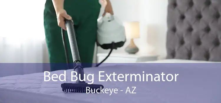 Bed Bug Exterminator Buckeye - AZ