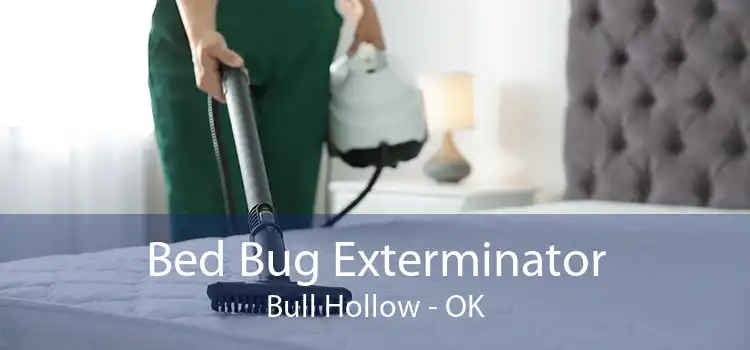 Bed Bug Exterminator Bull Hollow - OK