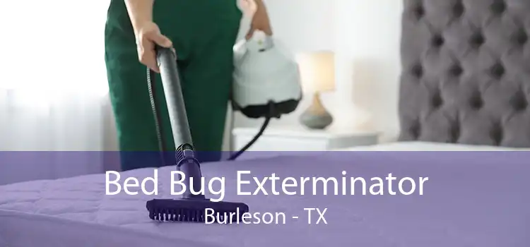 Bed Bug Exterminator Burleson - TX