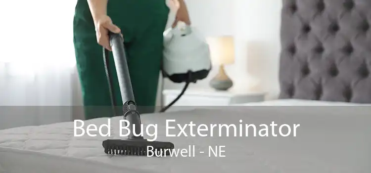 Bed Bug Exterminator Burwell - NE