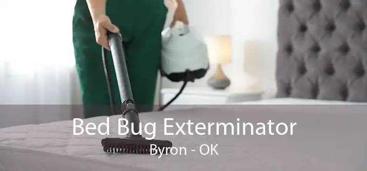 Bed Bug Exterminator Byron - OK