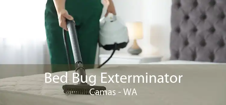 Bed Bug Exterminator Camas - WA