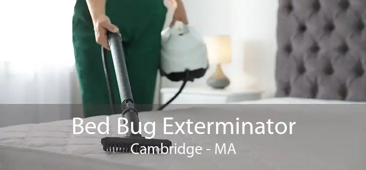 Bed Bug Exterminator Cambridge - MA