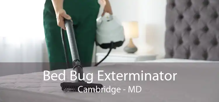 Bed Bug Exterminator Cambridge - MD