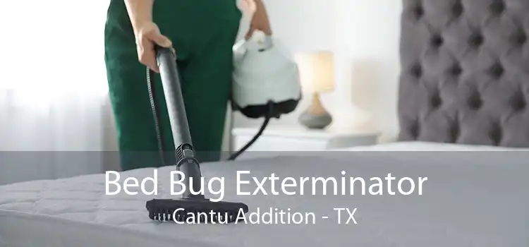 Bed Bug Exterminator Cantu Addition - TX