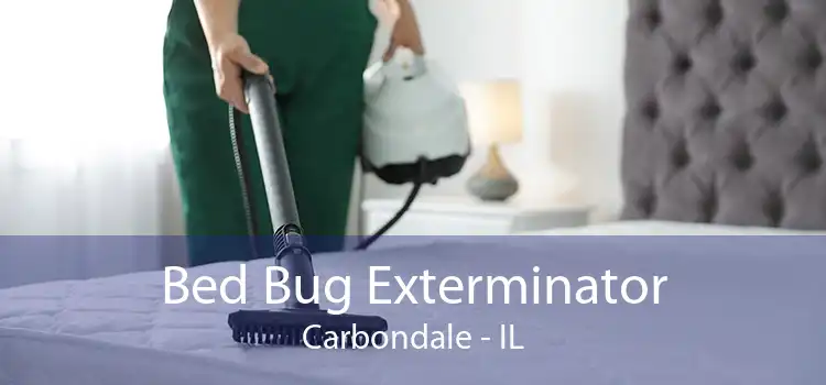 Bed Bug Exterminator Carbondale - IL