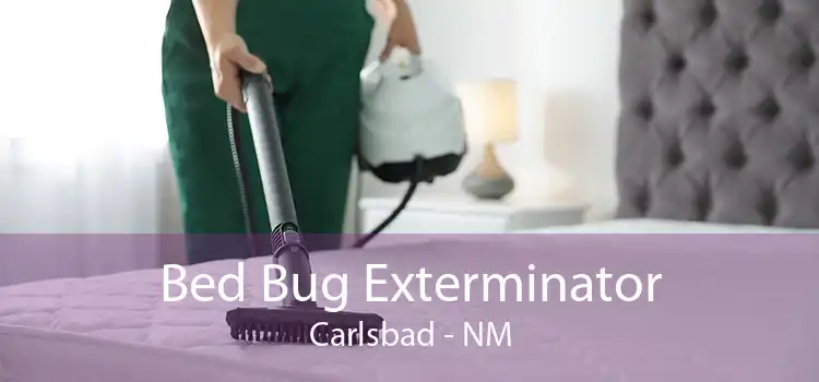 Bed Bug Exterminator Carlsbad - NM