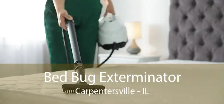 Bed Bug Exterminator Carpentersville - IL