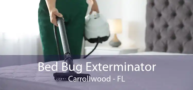 Bed Bug Exterminator Carrollwood - FL