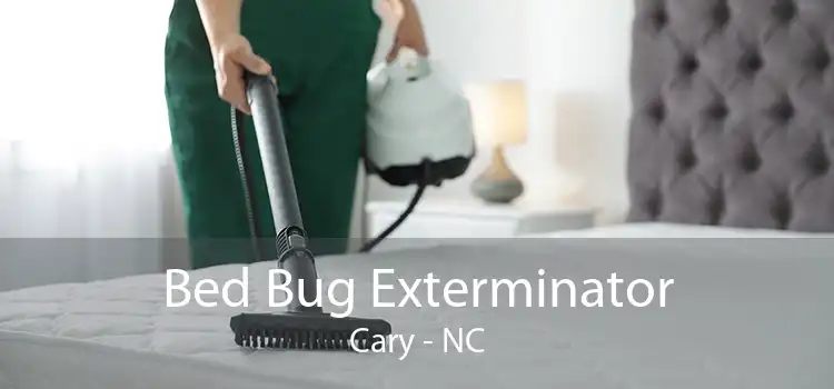 Bed Bug Exterminator Cary - NC