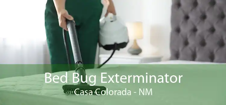 Bed Bug Exterminator Casa Colorada - NM