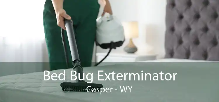 Bed Bug Exterminator Casper - WY